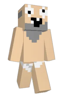 DrunkenHobo22 Minecraft avatar full body