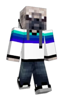 DryPug Minecraft avatar full body