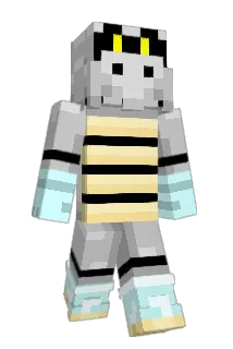 Dry_Bones1 Minecraft avatar full body