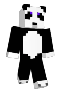 Dryfus3368 Minecraft avatar full body