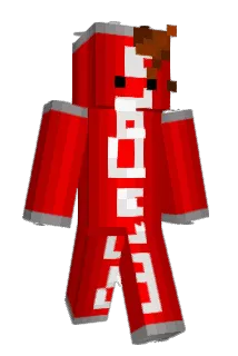 Drywixx Minecraft avatar full body
