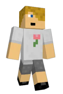 Ds_hex Minecraft avatar full body