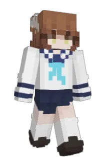 Dsmant1er Minecraft avatar full body