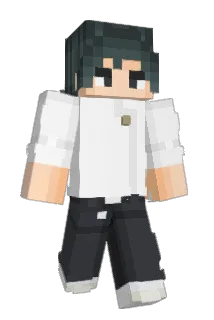 Dualeeber Minecraft avatar full body