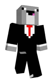Duba_B Minecraft avatar full body