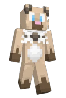 Dubitje Minecraft avatar full body
