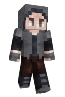 Dubsfish Minecraft avatar full body