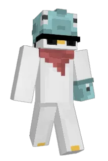 DucKFishh Minecraft avatar full body