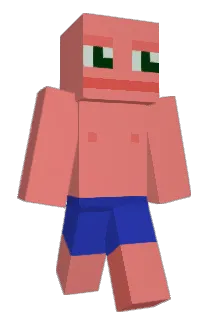 DuckActual Minecraft avatar full body