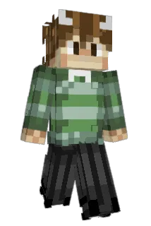 DuckBrain101 Minecraft avatar full body