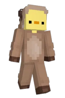 DuckBrawler Minecraft avatar full body