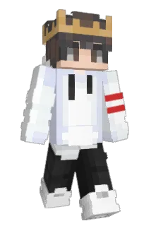 DuckCat_duo Minecraft avatar full body