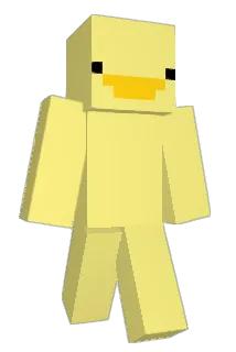 DuckHasNoDucks Minecraft avatar full body