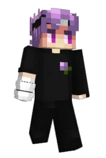 DuckHub954 Minecraft avatar full body