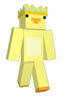 DuckMaster193 Minecraft avatar full body