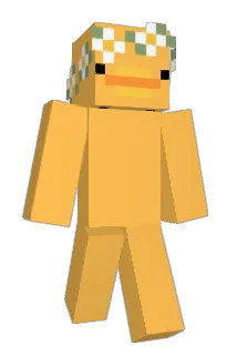 DuckSwaggington Minecraft avatar full body