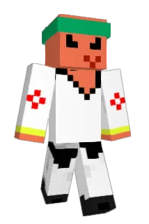DuckWormA Minecraft avatar full body