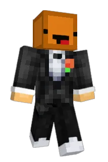 Duck_100 Minecraft avatar full body