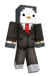 Duck_On_Top Minecraft avatar full body