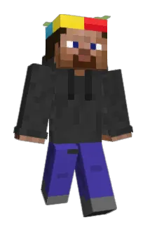 DuckedSE Minecraft avatar full body