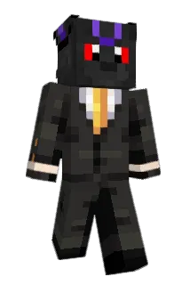 Ducklesworth Minecraft avatar full body