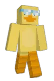 Duckool Minecraft avatar full body