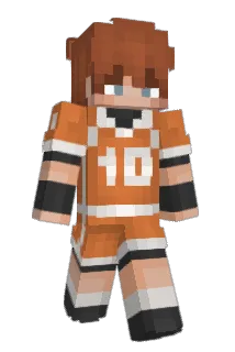 DucksOnFire Minecraft avatar full body