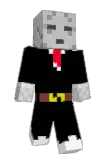 Duckterz Minecraft avatar full body