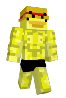 Duckwow Minecraft avatar full body