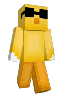 Ducky6562 Minecraft avatar full body
