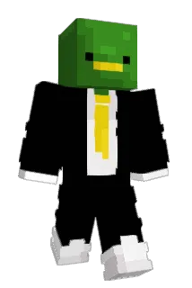 DuckySNL Minecraft avatar full body