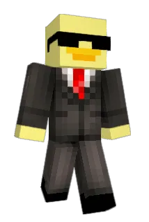 Duckyboy25 Minecraft avatar full body
