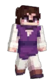 Duckyfluxer Minecraft avatar full body