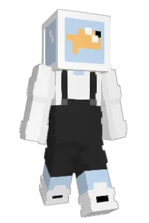 DudeIAmPro Minecraft avatar full body