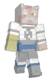 Dudledtr Minecraft avatar full body