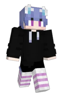 Duffle41 Minecraft avatar full body
