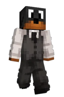 DugNotCat Minecraft avatar full body