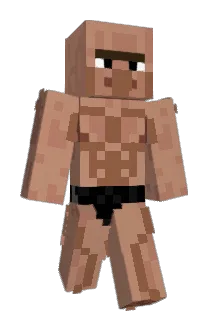 DukeWill Minecraft avatar full body