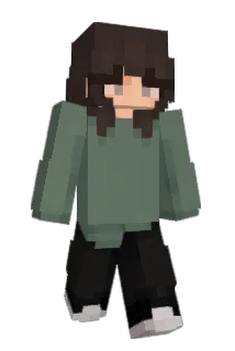 Dulkes_ Minecraft avatar full body