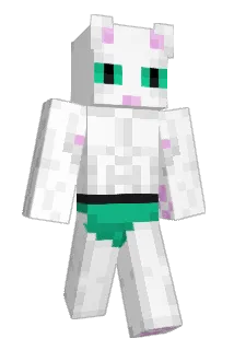 DumDumplling Minecraft avatar full body