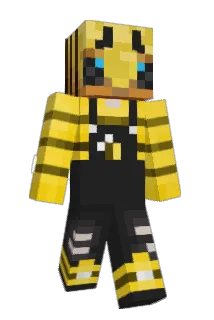 DumbDumbKing Minecraft avatar full body