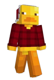Dummbeutel Minecraft avatar full body
