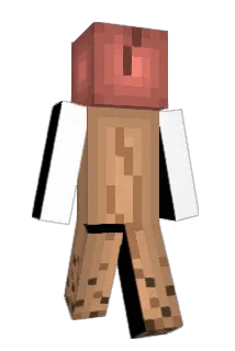 DummerXiro Minecraft avatar full body