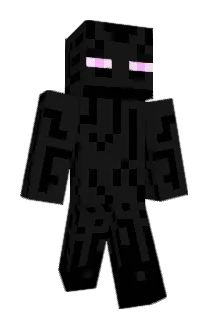 Dunix Minecraft avatar full body