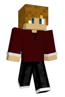 Dunkedchicken Minecraft avatar full body