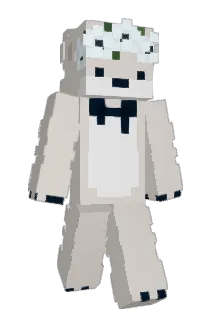 Dunnq Minecraft avatar full body