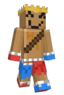 Duplified Minecraft avatar full body