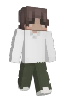 Duplikacja Minecraft avatar full body