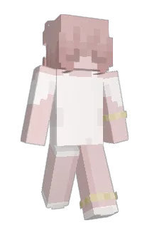 DustandRib Minecraft avatar full body