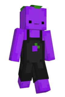 Dustin1323 Minecraft avatar full body